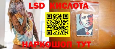 кокс Кингисепп