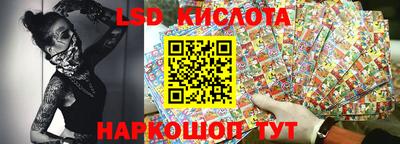 кокс Кингисепп