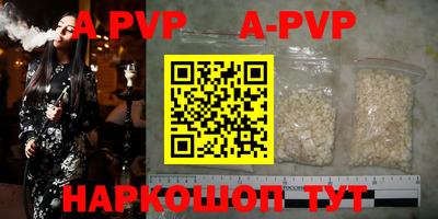 кокс Кингисепп