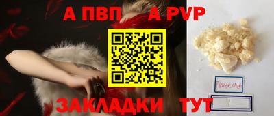 кокс Кингисепп