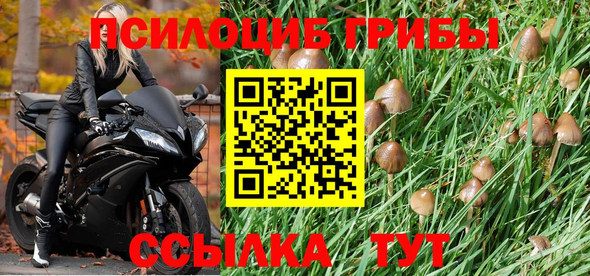 Галлюциногенные грибы GOLDEN TEACHER Южно-Сахалинск