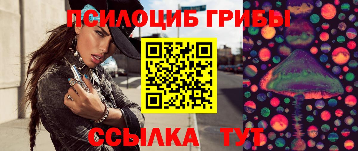 Южно-Сахалинск  Галлюциногенные грибы Psilocybe  Псилоцибиновые грибы Cubensis  Вход с VPN 